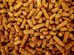 🌾🐄 Animal Feed Raw Materials and Feed Additives Supply Request – Syria