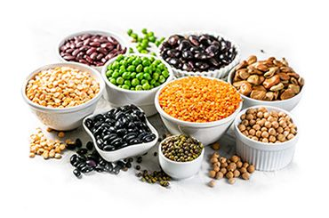 Legumes