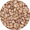 لوبيا حمراء