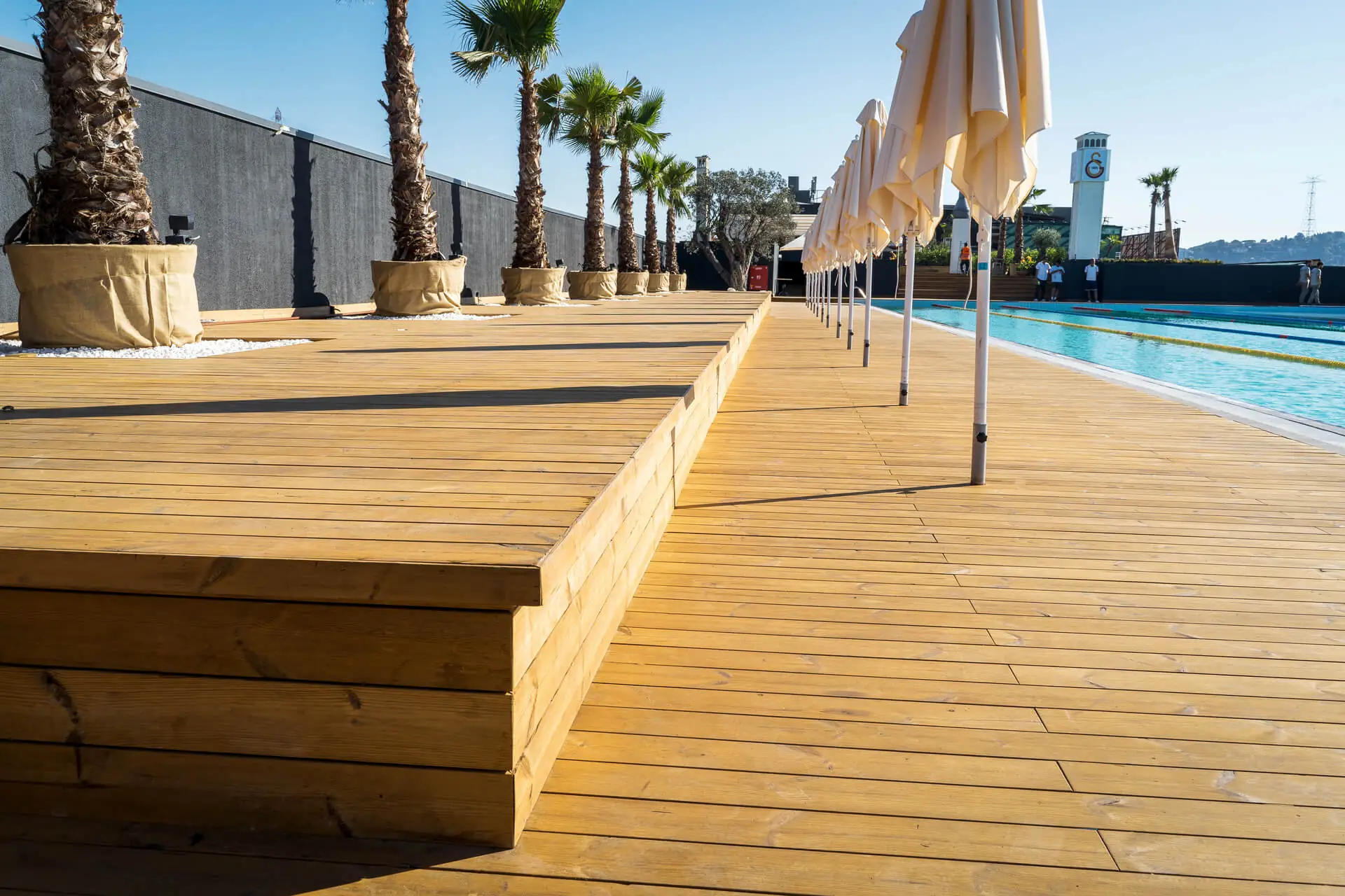 Deck (الديك)