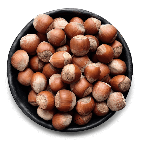 In-Shell Hazelnut
