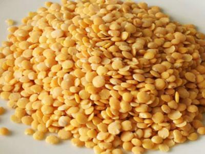 Legumes