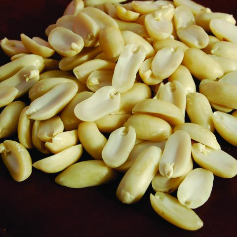 الفول السوداني