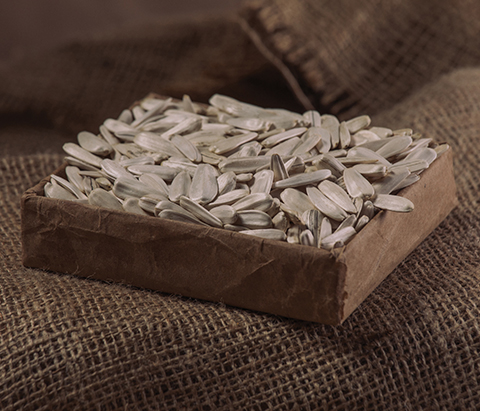 White Sunflower Seeds