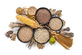🌾 Legume and Grain Product Supply Request – 1 Container Per Product