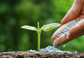 🌱 Request for Research on Agricultural Product and Fertilizer Suppliers – For the Syrian Market