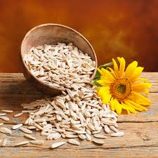 🌻🏭 Sunflower Seed Supply Request – For the Syrian Market