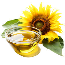🌻📈 MONTHLY REQUEST FOR 300-400 TONS OF SUNFLOWER OIL – STRATEGIC REGULAR PURCHASE FOR SYRIA / HAMA.