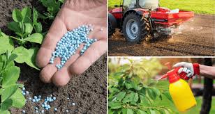🌱🚜 UP TO 520 TONS OF AGRICULTURAL FERTILIZER AND PESTICIDE IMPORT DEMAND IN 6 MONTHS – HIGH-VOLUME SUPPLY PROJECT FOR THE EGYPT MARKET