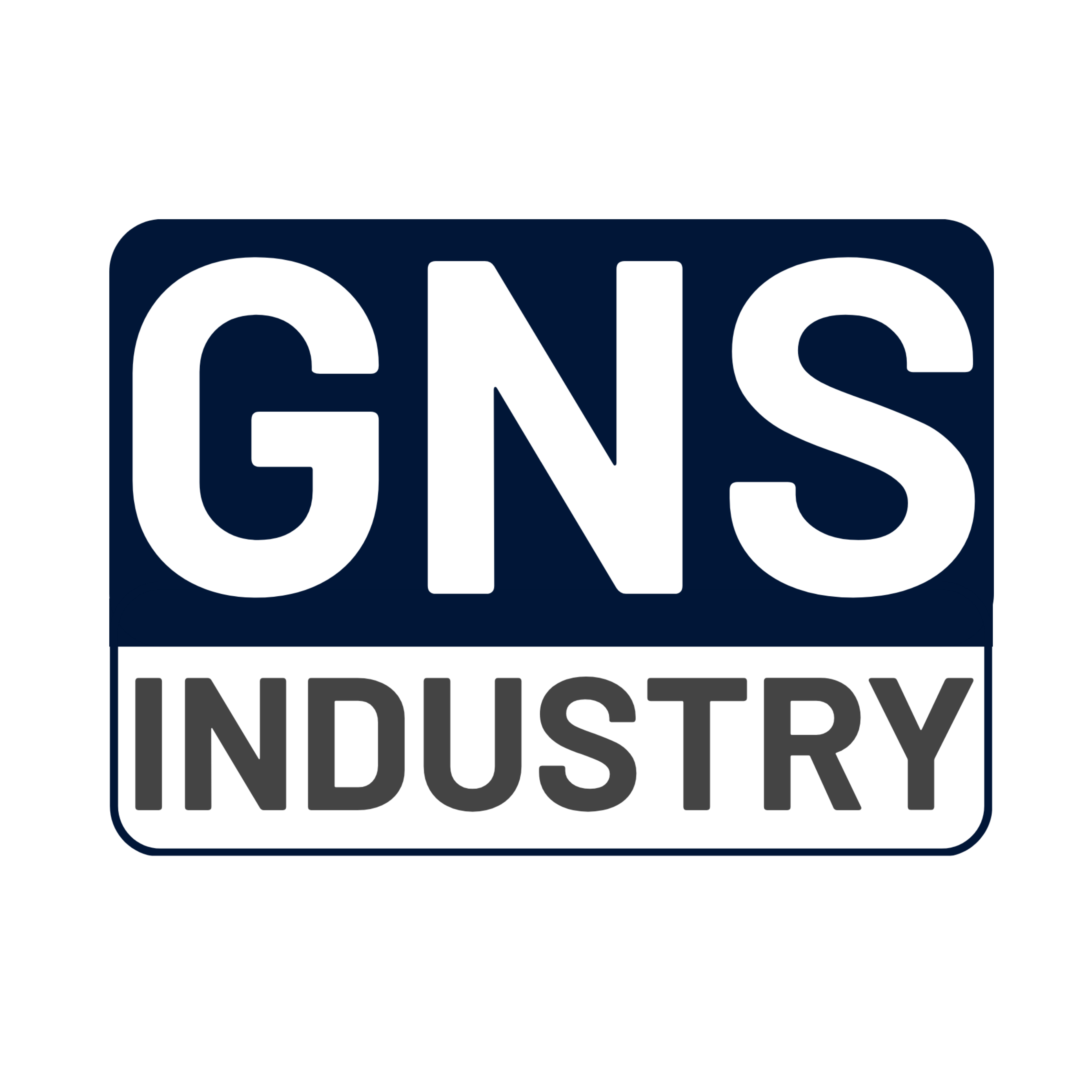 GNS Industry