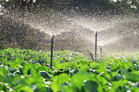 🌾 STRATEGIC AGRICULTURAL EQUIPMENT AND AGRICULTURAL SUPPLY DEMAND FOR THE EGYPTIAN MARKET – A WIDE RANGE OF PRODUCTS