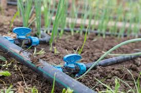 🚿 REQUEST FOR DRIP IRRIGATION EQUIPMENT (PVC VALVES & SPRINKLERS) FOR THE EGYPT MARKET