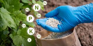🌱 DEMAND FOR AGRICULTURAL FERTILIZER AND PESTICIDE SUPPLY FOR THE EGYPT MARKET