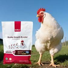 🧪 POULTRY FEED ADDITIVE SUPPLY REQUEST – EXPORT OPPORTUNITY FROM TURKEY TO EGYPT