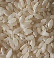 🍚 RICE SUPPLY DEMAND – EXPORT OPPORTUNITY FROM TURKEY TO EGYPT