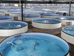 🐟 EXPORT OPPORTUNITY FOR FISH FARMING EQUIPMENT TO THE IRAQ MARKET