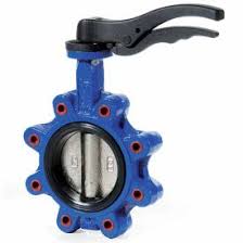 🔧 DIRECT CALL TO MANUFACTURERS FOR THE SUPPLY OF STAINLESS STEEL BUTTERFLY VALVES FOR THE EGYPTIAN INDUSTRIAL AND PLUMBING SECTOR.