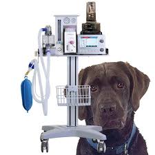 🐄 ALGERIA IS CALLING FOR DIRECT PRODUCERS OF VETERINARY EQUIPMENT FOR ITS LIVESTOCK SECTOR.