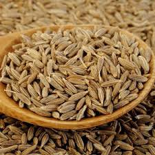 🌿Export Opportunity to Algeria for Cumin Seeds