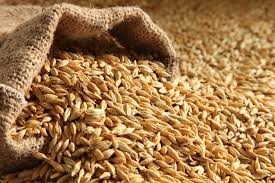 🌾Export Opportunity to Morocco for Feed Raw Materials and Agricultural Inputs