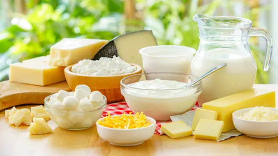 🧀 EXPORT OPPORTUNITIES FOR DAIRY AND CHEESE PRODUCTS IN THE LIBYAN MARKET