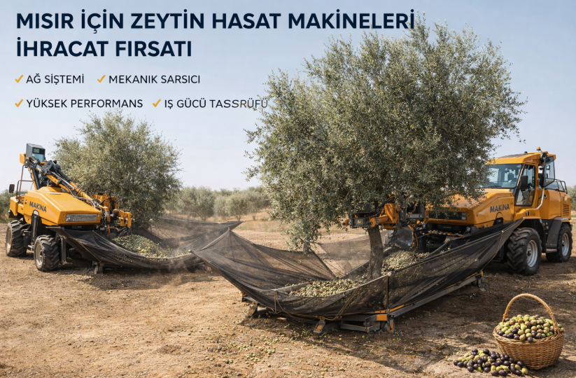 🌿EXPORT OPPORTUNITY FOR OLIVE HARVESTING MACHINERY TO EGYPT