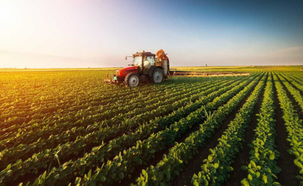 🌾 EXPORT OPPORTUNITY FOR AGRICULTURAL PRODUCTS TO THE MOROCCAN MARKET