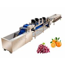 🍎Export Opportunity to Morocco for Fruit Packaging and Packing Lines
