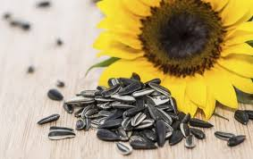 🌻 SUNFLOWER SEEDS, SESAME SEEDS AND FOOD FLAVORINGS: EXPORT OPPORTUNITIES FOR THE ALGERIAN MARKET