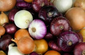 🧅Export Opportunity to Egypt for Onions