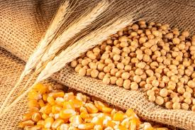 🌾 Agricultural Product Import Demand – For the Egypt Market (Fruits, Vegetables and Feed)
