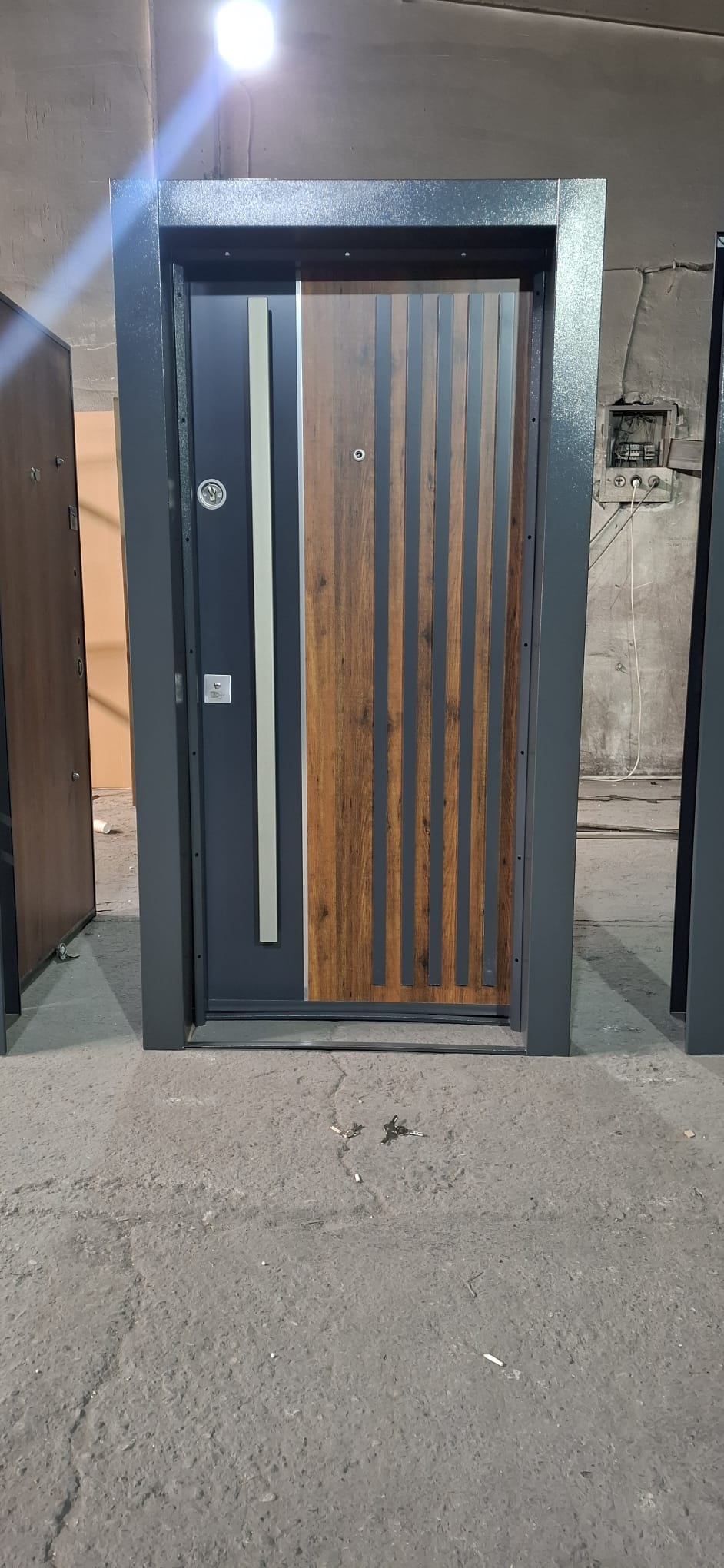 Steel Door