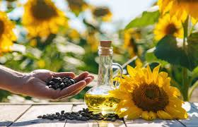 🌻SUNFLOWER OIL (20 LT PACKAGING) EXPORT OPPORTUNITY - Egypt