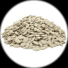 🎃PUMPKIN SEED (WHITE) EXPORT OPPORTUNITY Egypt