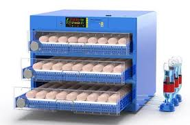 🐣AUTOMATIC EGG INCUBATOR (144 EGGS) EXPORT OPPORTUNITY TO SYRIA