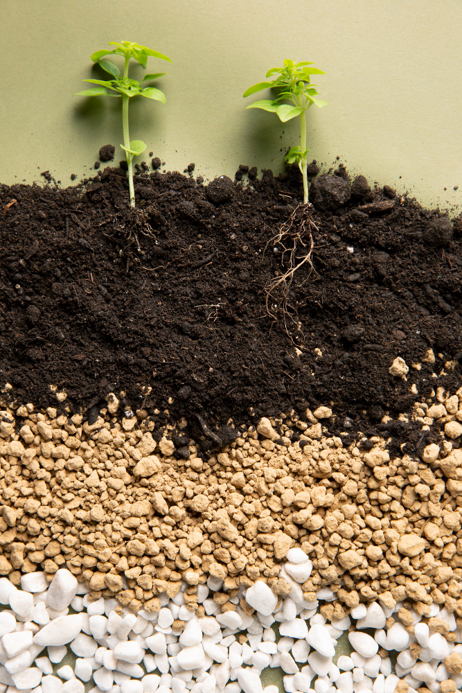 Fertilizers and agricultural nutrients
