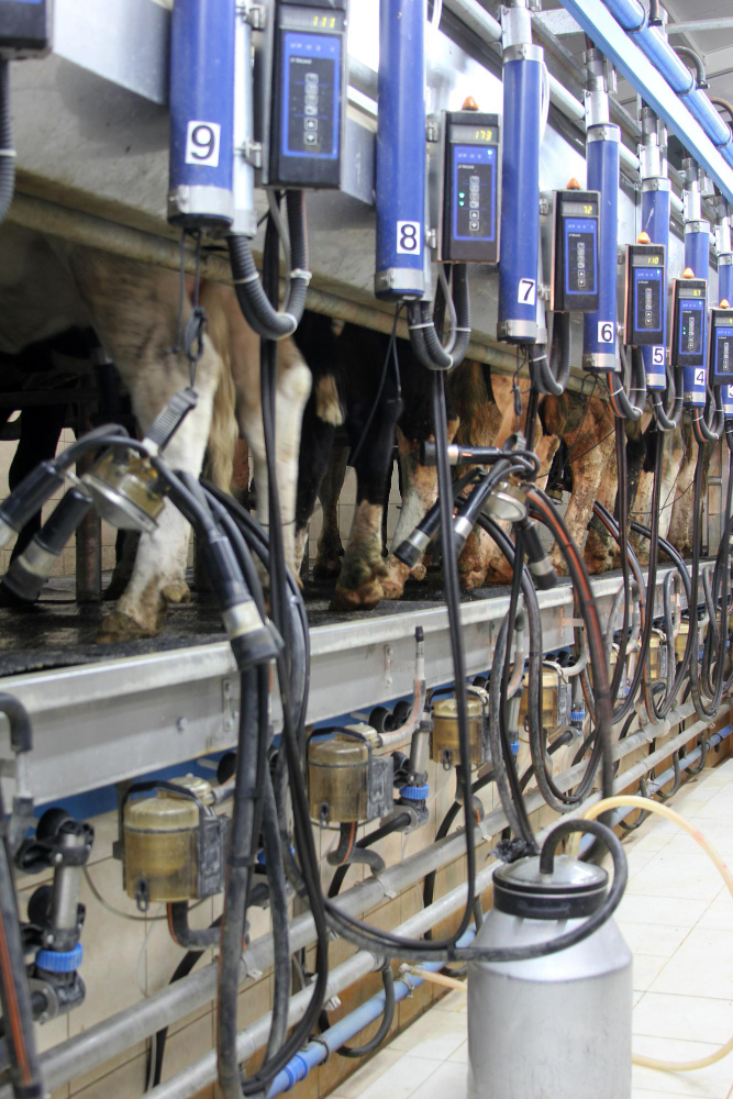 Turnkey Dairy Farm Solutions - Milking Systems & Farm Equipment Manufacturer