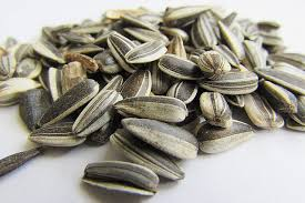 🌻 Sunflower Seed Import Demand – For the Egyptian Market
