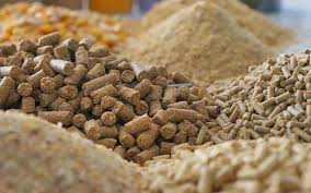 🐄🌽 Request for Price Quotation for Animal Feed Raw Materials and Feed Additives – For the Egyptian Market