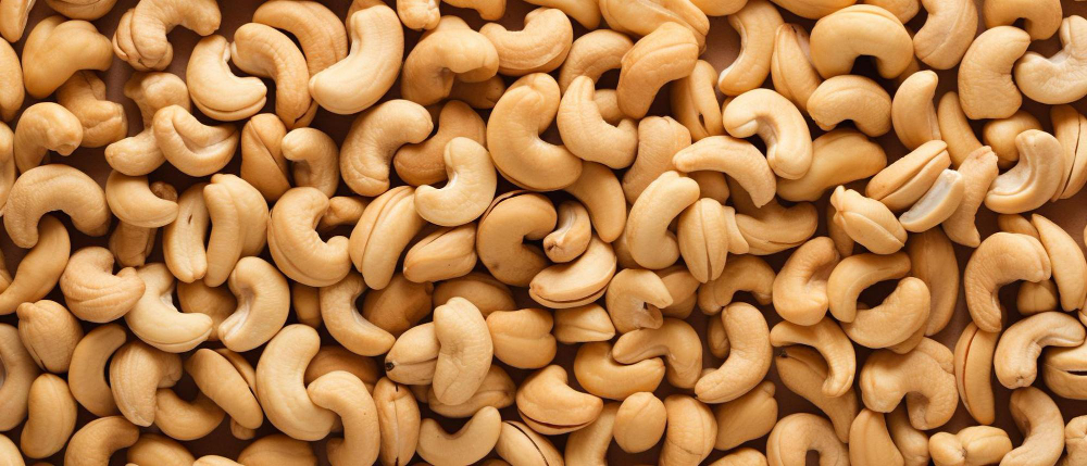 Cashew Export