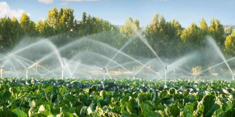 EXPORT OPPORTUNITIES FOR DRIP IRRIGATION EQUIPMENT AND AGRICULTURAL FERTILIZERS IN THE TUNISIAN MARKET.