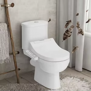 EXPORT OPPORTUNITY FOR WESTERN-STYLE TOILETS AND SANITARY WARE PRODUCTS TO THE MOROCCAN MARKET.