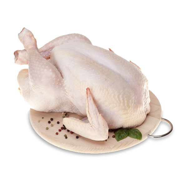 🍗 High-Volume Demand for Halal Frozen Chicken Fillet – Moroccan Buyer Ready for First Contact!