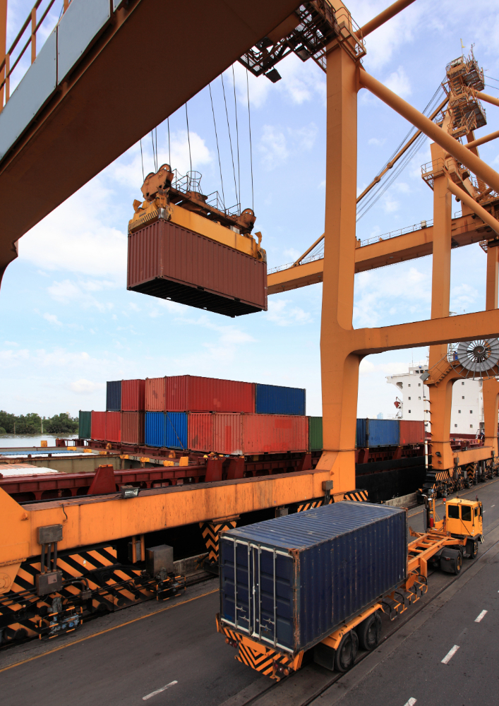 Import and International Trade Opportunities