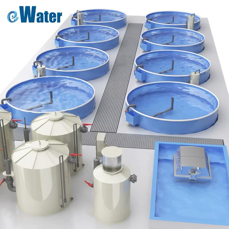 Closed RAS Fish Farming System Request – Investment Opportunity in Iraq!