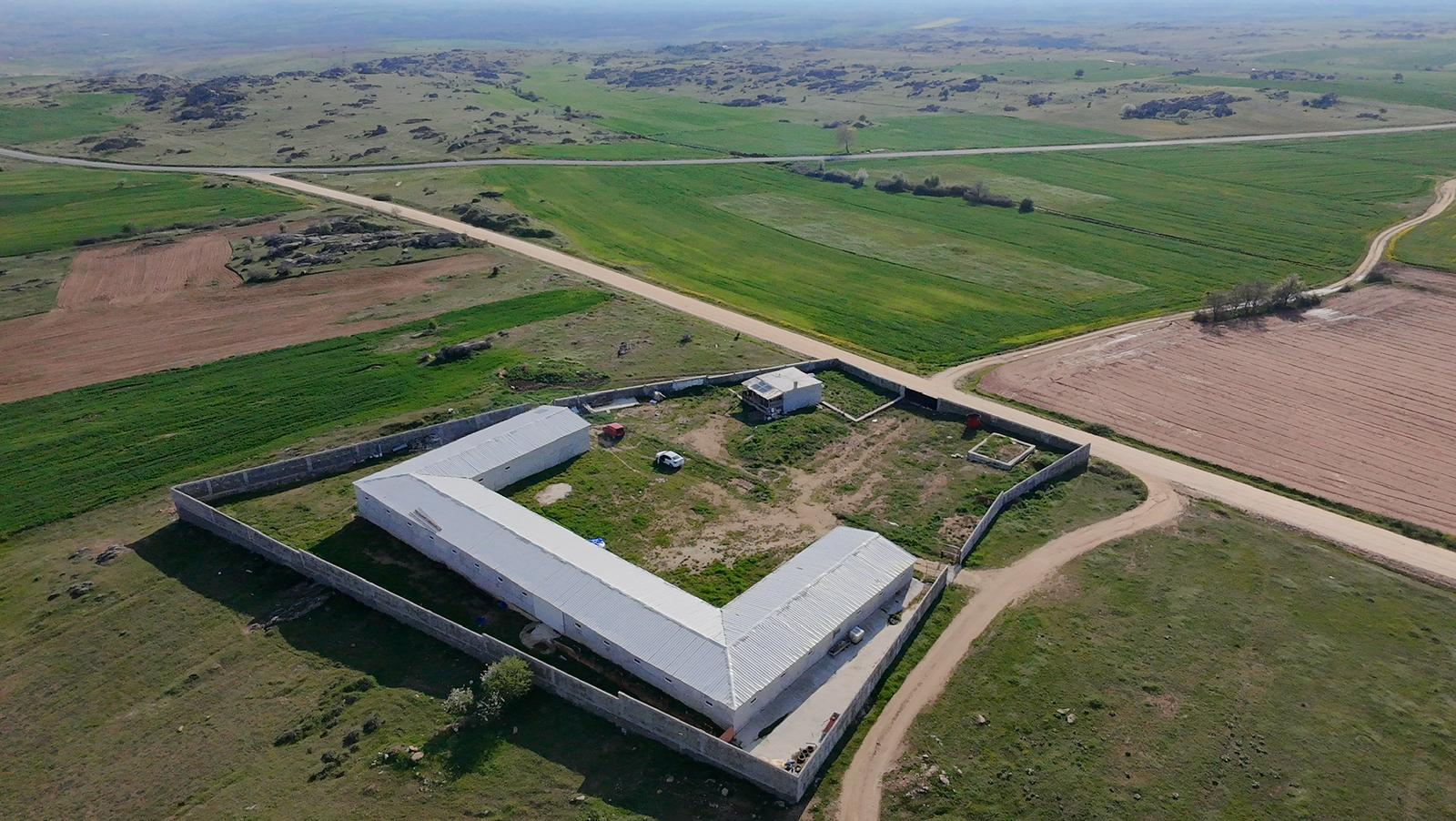 Partnership Opportunity in Dairy Farming Project – Joint Investment with Stable Returns