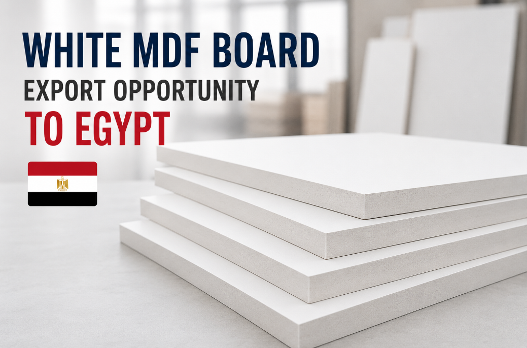 فرصة تصدير ألواح MDF البيضاء إلى مصر