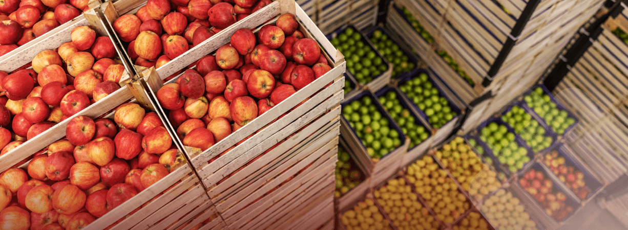 أهمية وتطور صناعة الأغذية والمشروبات في تركيا وفرص استيراد المواد والمعدات الغذائية