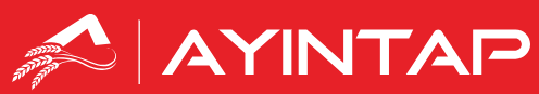 Ayintap gida