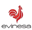 Evinesa Ev Tekstil ve Gereçleri San. Tic. Ltd. Şti